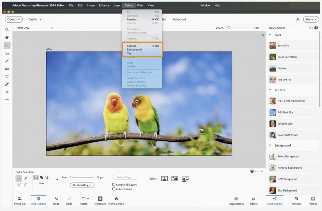 Adobe Photoshop Elements 2024