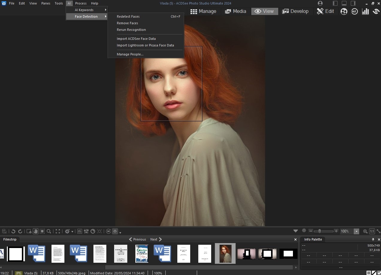ACDSee Photo Studio Ultimate 2024 
